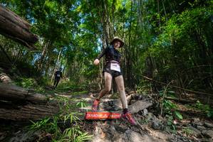 BIB: 
                            <button type="button" onclick="openModal(19388500)" class="btn btn-primary btn-sm float-right btn-popup" data-toggle="modal" data-target=".modal-high-quality">
                        <i class="fas fa-shopping-cart"></i> Add to Cart
                    </button>
                                            <button type="button" onclick="isThisMe(19388500, true)" class="btn btn-success btn-sm float-right btn-popup btn-isme hidden" data-toggle="tooltip" data-placement="bottom" title="นี่คือรูปของคุณใช่ไหม คลิกที่นี่เพื่อเอาเข้าอัลบั้ม">
                        <i class="fas fa-plus"></i> Add to album
                    </button>
                    <button type="button" onclick="isThisMe(19388500, false)" class="btn btn-warning btn-sm float-right btn-popup btn-isnotme hidden">
                        <i class="fas fa-ban"></i> Remove from album
                    </button>